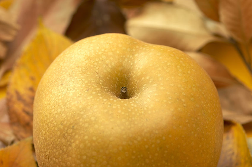 桃の味？！　たてべの梨　たべて～♪